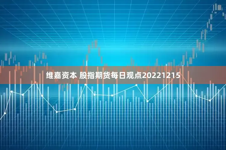 维嘉资本 股指期货每日观点20221215
