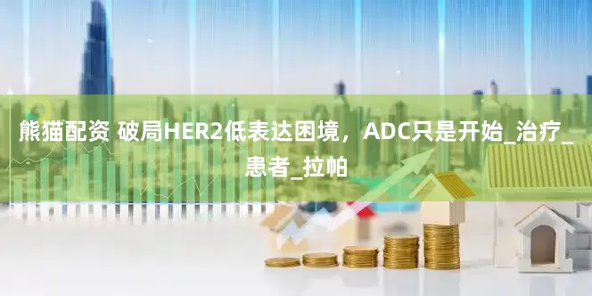 熊猫配资 破局HER2低表达困境，ADC只是开始_治疗_患者_拉帕