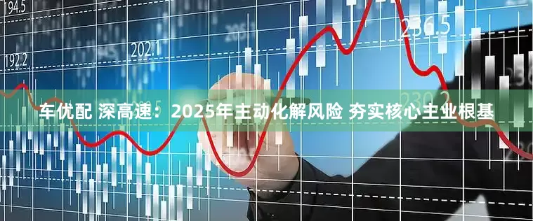 车优配 深高速：2025年主动化解风险 夯实核心主业根基